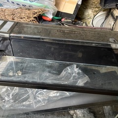 60㎝水槽セットとセルフィンプレコの画像