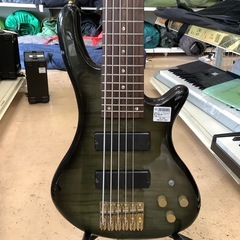 PLAYTECH PTB-6 6弦ベース　エレキベースの画像