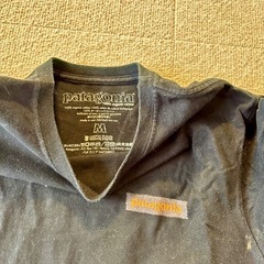 パタゴニア　Tシャツの画像