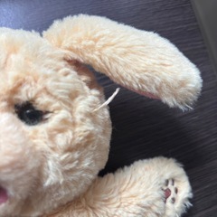 だっこしてネルン　ふわふわわんこの画像