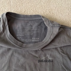 パタゴニア　Tシャツの画像