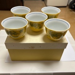 未使用品　たち吉茶器６点セット　黄地魚藻文の画像