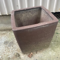 盆栽鉢の画像