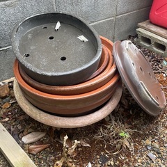 盆栽鉢の画像
