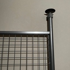 ウォールネットの画像