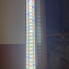 gex 60センチ水槽セットの画像
