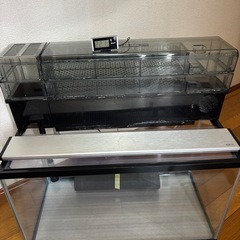 gex 60センチ水槽セットの画像