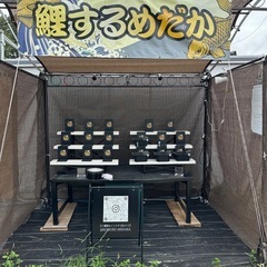 めだか
の画像