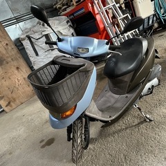 ホンダディオの画像