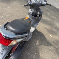 YAMAHAシゲナス125の画像
