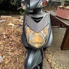 YAMAHAシゲナス125の画像
