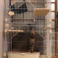 ペットゲージ　猫ゲージの画像