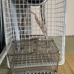 鉄クズ等の画像