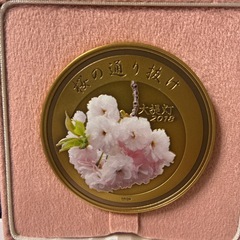 平成30年桜の通り抜け記念　銅メダルの画像
