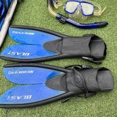 US diverseセットの画像