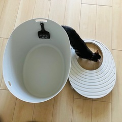 🐈🐾猫トイレ 大きめの画像