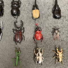 虫　昆虫　おもちゃ　フィギア　15匹　カブトムシなどの画像
