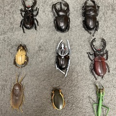 虫　昆虫　おもちゃ　フィギア　15匹　カブトムシなどの画像
