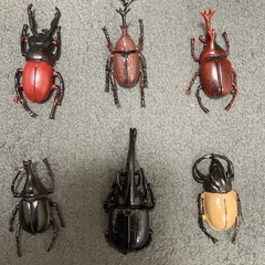昆虫セット　15個　カブトムシなど　
おもちゃ　の画像