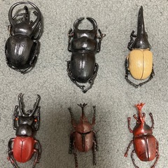 昆虫セット　15個　カブトムシなど　
おもちゃ　の画像