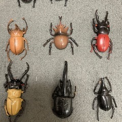 昆虫セット　15個　カブトムシなど　
おもちゃ　の画像