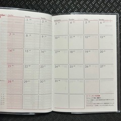 【新品未使用】ロート製薬 スケジュール帳 2025の画像