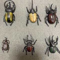 昆虫セット　15匹　おもちゃ　虫　カブトムシなどの画像