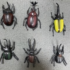 昆虫セット　15匹　おもちゃ　虫　カブトムシなどの画像