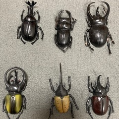 昆虫セット　15匹　おもちゃ　虫　カブトムシなどの画像