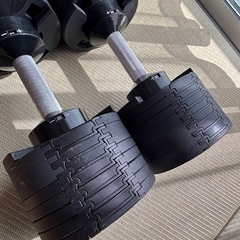 可変式ダンベル32キロ×2 台座付きの画像