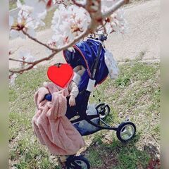 リッチェル　両対面式コアラクーンベビーカー（説明書付き