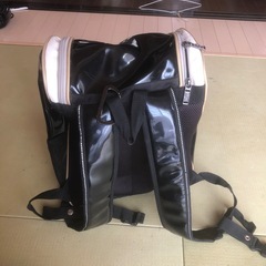 野球バッグとバットケースセットの画像