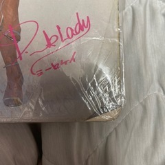 シャワラン　ピンクレディ下敷きの画像