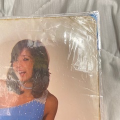 シャワラン　ピンクレディ下敷きの画像