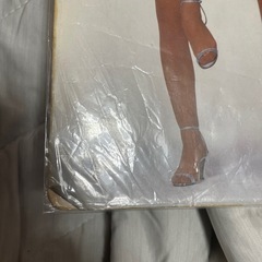 シャワラン　ピンクレディ下敷きの画像