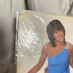 シャワラン　ピンクレディ下敷きの画像