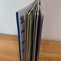 中学 まとめ上手 5科1年: ポイントだけをサクッと復習の画像