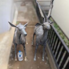 双鹿　庭置物　オブジェ　工芸美術、日本庭園　鹿　一対　の画像