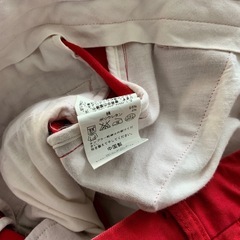 エディフィス　ハーフパンツ　ショートパンツ　サイズ44(M) ウェスト38、総丈42センチの画像