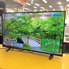 【美品】液晶テレビ TOSHIBA 東芝 43C350X 2023年製 43インチの画像