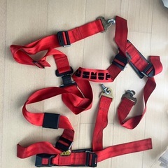 SCHROTH ／シュロス 3点式？ シートベルトの画像