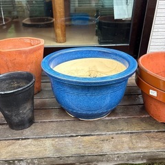 鉢　色々の画像