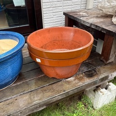 鉢　色々の画像