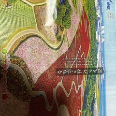 国営ひたち海浜公園乗り物フリーパスチケット５枚セットの画像