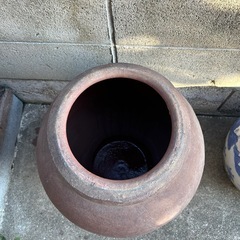 鉢　大サイズの画像