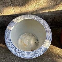 鉢　大サイズの画像