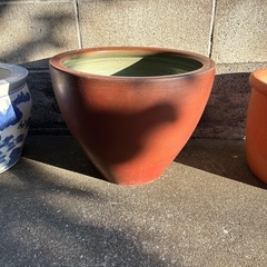 鉢　大サイズの画像