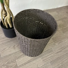 ニトリ観葉植物　イミテーション　入れ物付き　　の画像