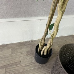 ニトリ観葉植物　イミテーション　入れ物付き　　の画像
