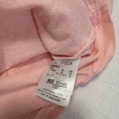 120cm長袖Tシャツ2枚セット
の画像